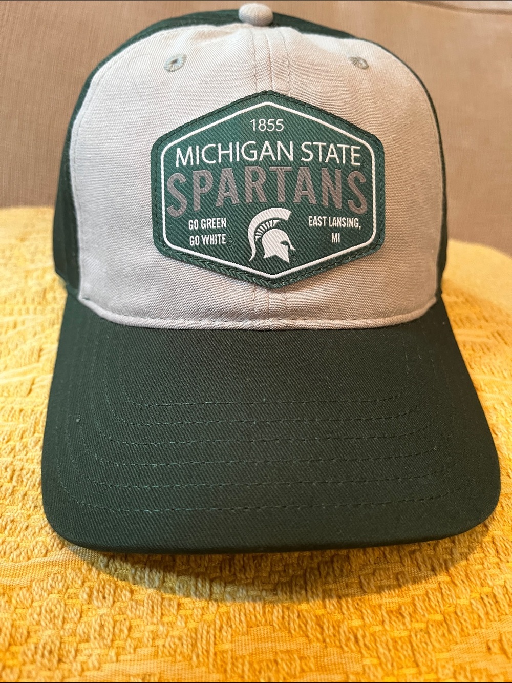 Michigan State Spartans Logo two tone hat